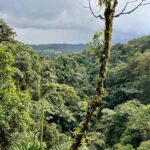 The rainforest in Costa Rica. Photo courtesy of Sally Brannan Hurt.