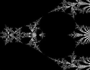 Benjamin Plonka '27 and Sophie Jensen '27 created intricate fractal patterns in their investigation of tetration, or repeated exponentiation. Photo courtesy of Benjamin Plonka. 